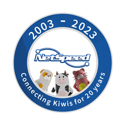 netspeed 20th birthday