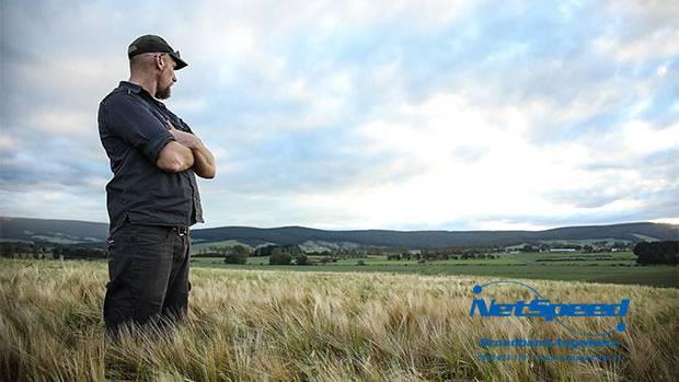 Rob Auld surveys a field of barley.