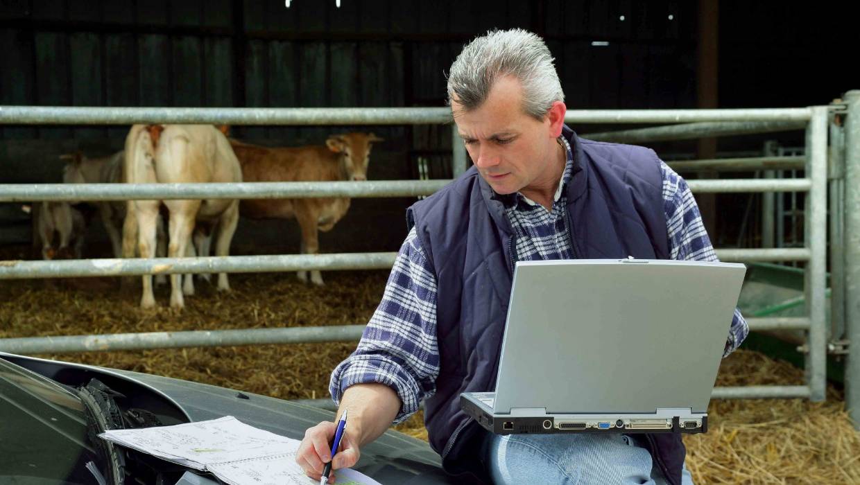 Until recently, the company's primary focus had been working with rural customers to offer wireless internet (WISP) to areas that struggled to get a reliable fixed-line internet connection. Photo/IStock